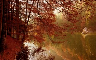 Картинка осень, Озеро, деревья