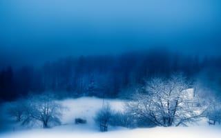 Обои Зима, туман, природа, снег, вечер