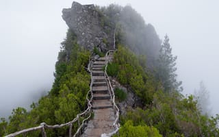 Картинка туман, Гора, ступени, лестница