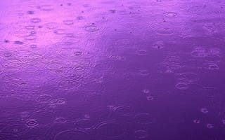 Картинка Дождь, вода, круги, капли, цвет