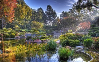 Картинка Япония, японский сад, пруд