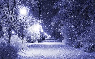 Обои деревья, фонари, Зима, снег, ночь, парк