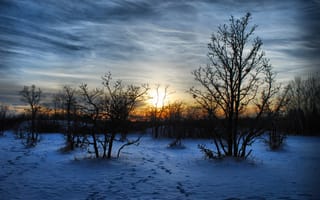 Картинка пейзаж, Природа, мароз, закат, зима, вечер, снег, деревья