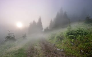 Обои туман, утро, Пейзаж