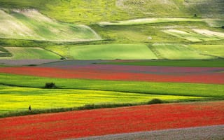 Картинка долина, Умбрия, склон, луг, цветы
