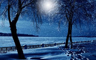 Картинка winter, snow, tree