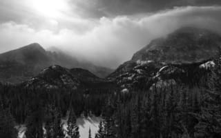 Картинка Черно-белая, лес, горы