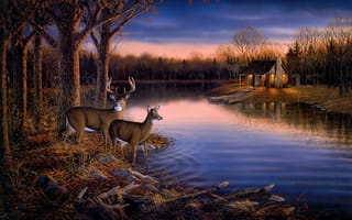 Картинка tranquil evening, животные, искусство, олени, живопись, Sam timm