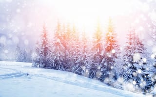 Картинка Природа, горы, пейзаж, снег, деревья, зима