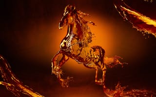 Картинка лошадь, вода, Конь