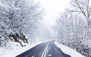 Обои зима, снег, Дорога, деревья