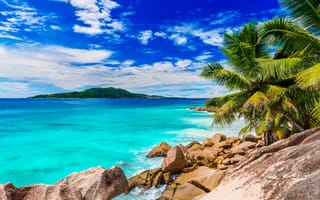 Картинка tropical, sand, palms, beach, summer, paradise, shore