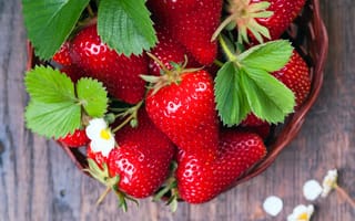 Картинка корзинка, fresh berries, Strawberry, клубника