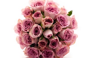 Картинка Розы, цветы, букет, цветок, красивый