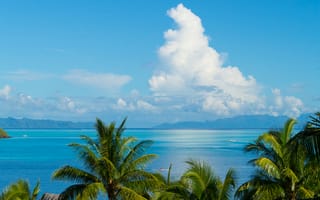 Картинка тихий океан, остров таити, французская полинезия