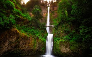 Картинка малтнома, поток, водопад, multnomah, орегон