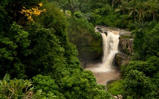 Картинка индонезия, лес, водопад, indonesiа, бали, bali, tegenungan waterfall