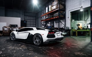 Картинка rear, White, adv.1, matte, wheels, Lamborghini, garage, supercar