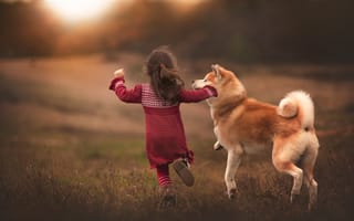 Картинка Девочка, Друзья, Собака, бег, радость