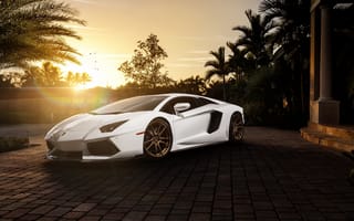 Картинка ламборджини, Lamborghini, White