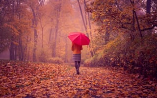 Картинка пейзаж, спина, красный зонтик, осень, листва, девушка