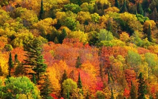 Картинка Канада, осень, краски