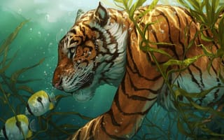 Обои Тигр охотится на рыб