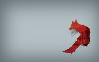 Картинка Красная лиса, серый фон