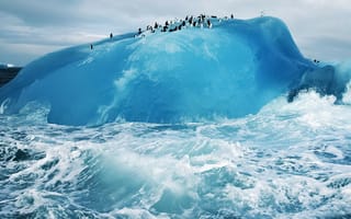 Обои Пингвины на голубом льду айсберга