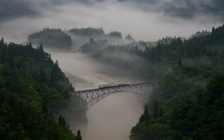 Картинка Железнодорожный мост в виде арки над зеленым лесом и рекой