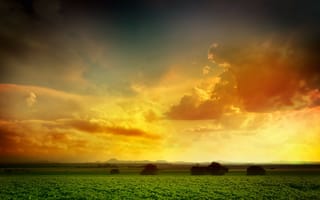Картинка Оранжевое небо над зеленым полем