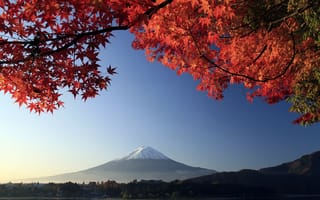 Картинка Красные кленовые листья на фоне горы Фудзи, Япония