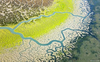 Картинка Снимок дельты реки из космоса