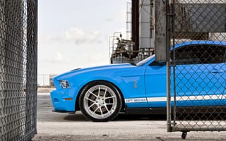 Картинка ford, mustang, мустанг