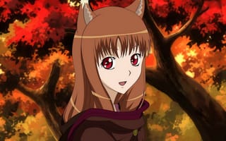 Картинка Главная героиня аниме Волчица и пряности