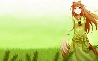 Обои Девушка в зеленом платье из аниме Волчица и пряности