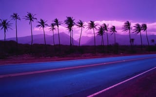 Картинка Пальмы на фоне фиолетовых гор и облаков
