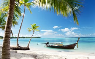 Картинка природа, море, горизонт, деревья, лодка, берег, horizon, boat, sea