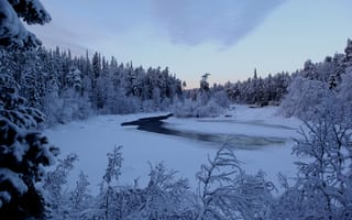 Картинка зима, речка, деревья, снег, river