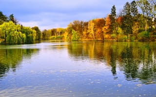 Картинка лес, озеро, осень, Осенний лес