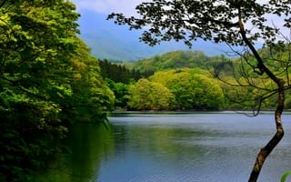 Картинка озеро, деревья, Озеро в горах, горы