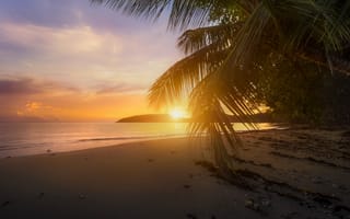 Картинка закат, пальмы, пляж, песок, море