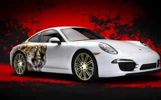 Картинка porsche, carrera