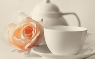 Картинка роза, бутон, чашка, блюдце, чайник