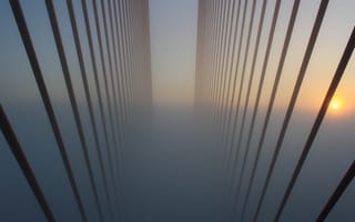 Картинка трос, туман, мост, рассвет, высота