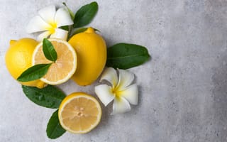 Картинка лимон, листья, орхидея, цветки