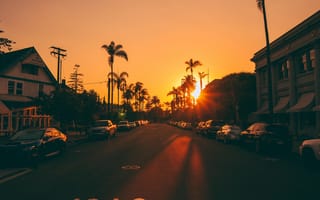 Картинка улица, дорога, пальмы, закат, автомобили