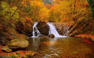 Картинка водопад, лес, Осенний лес, осень, речка, вода