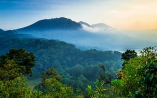 Картинка горы, джунгли, лес, высота, туман