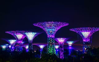Картинка гирлянды, сингапур, парк, свечение